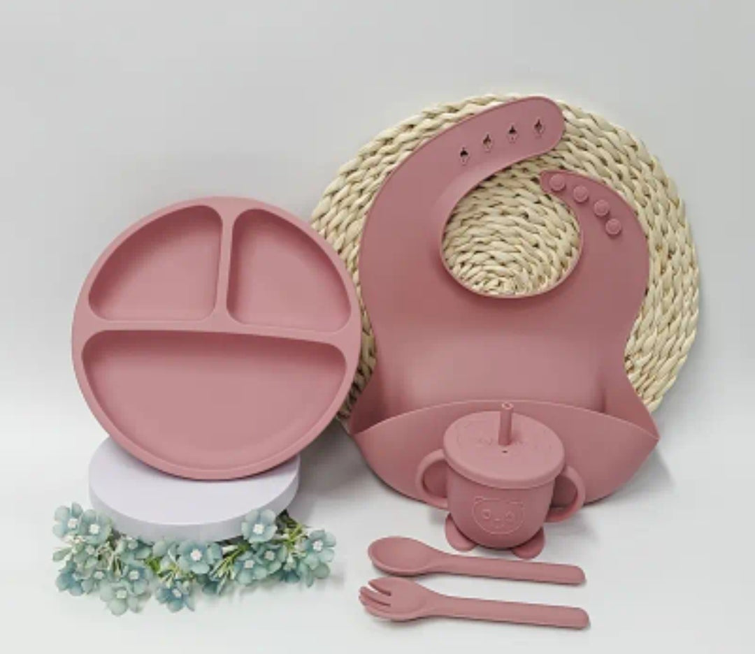 5 Piece silicone feeding set
