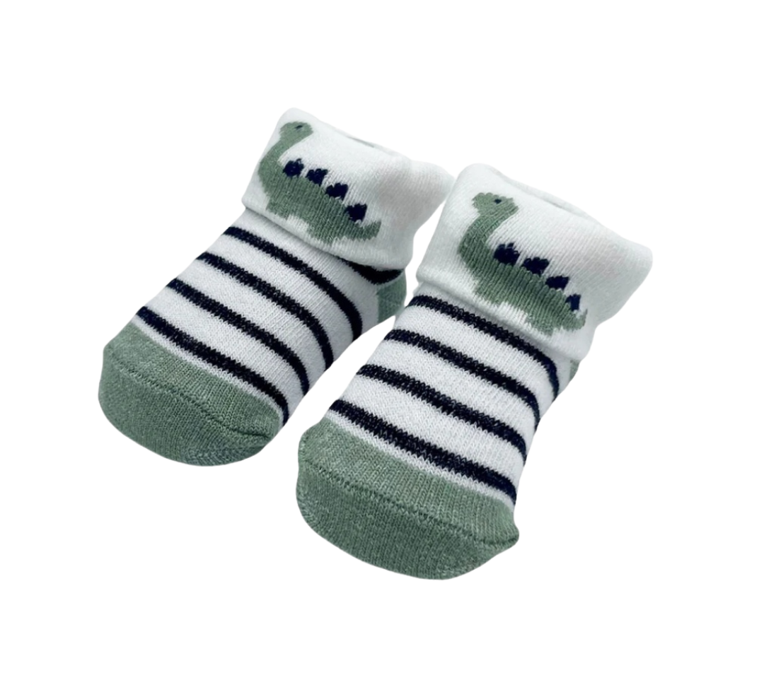 Fancy box socks - dino